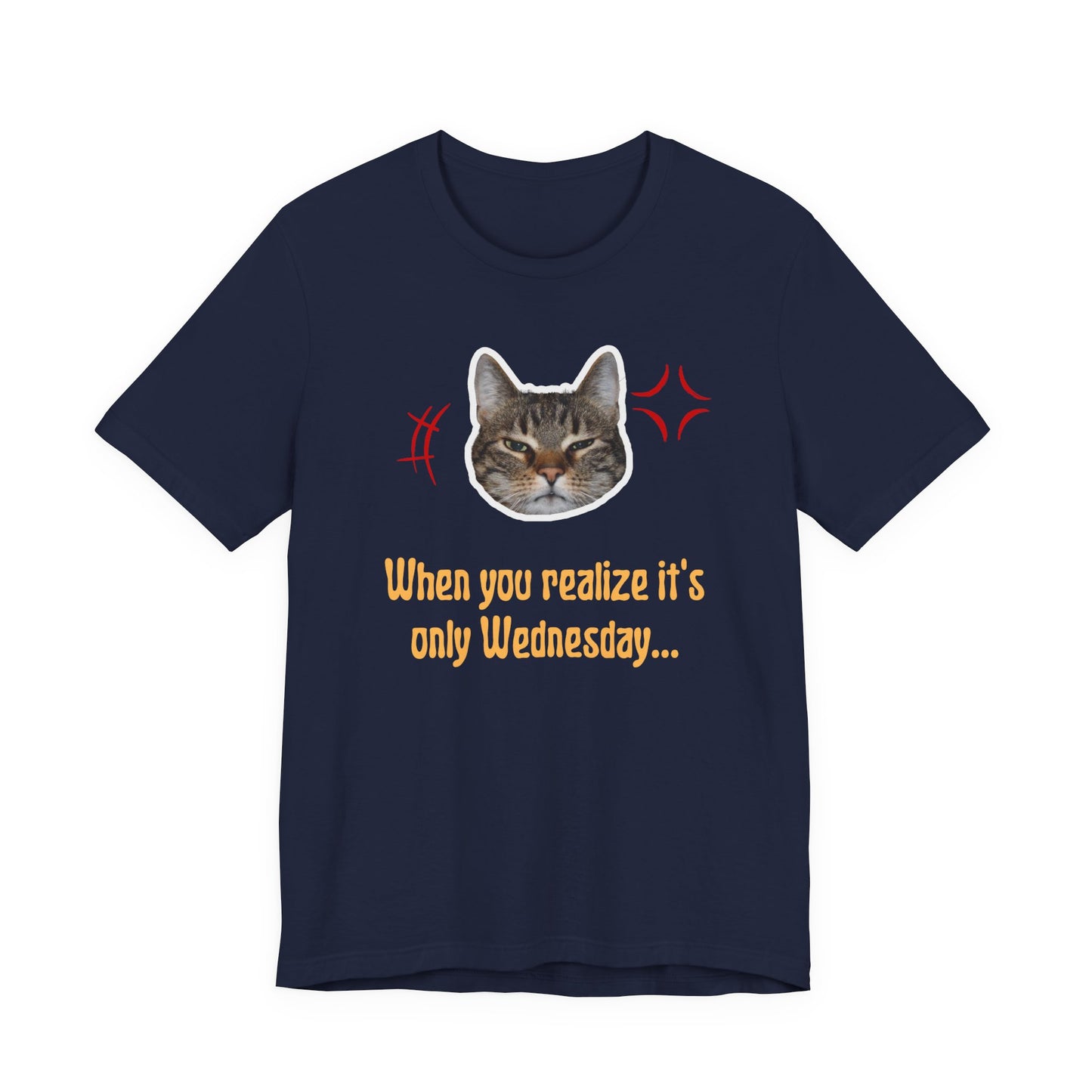 The Wednesday Grump Cat Premium Tee