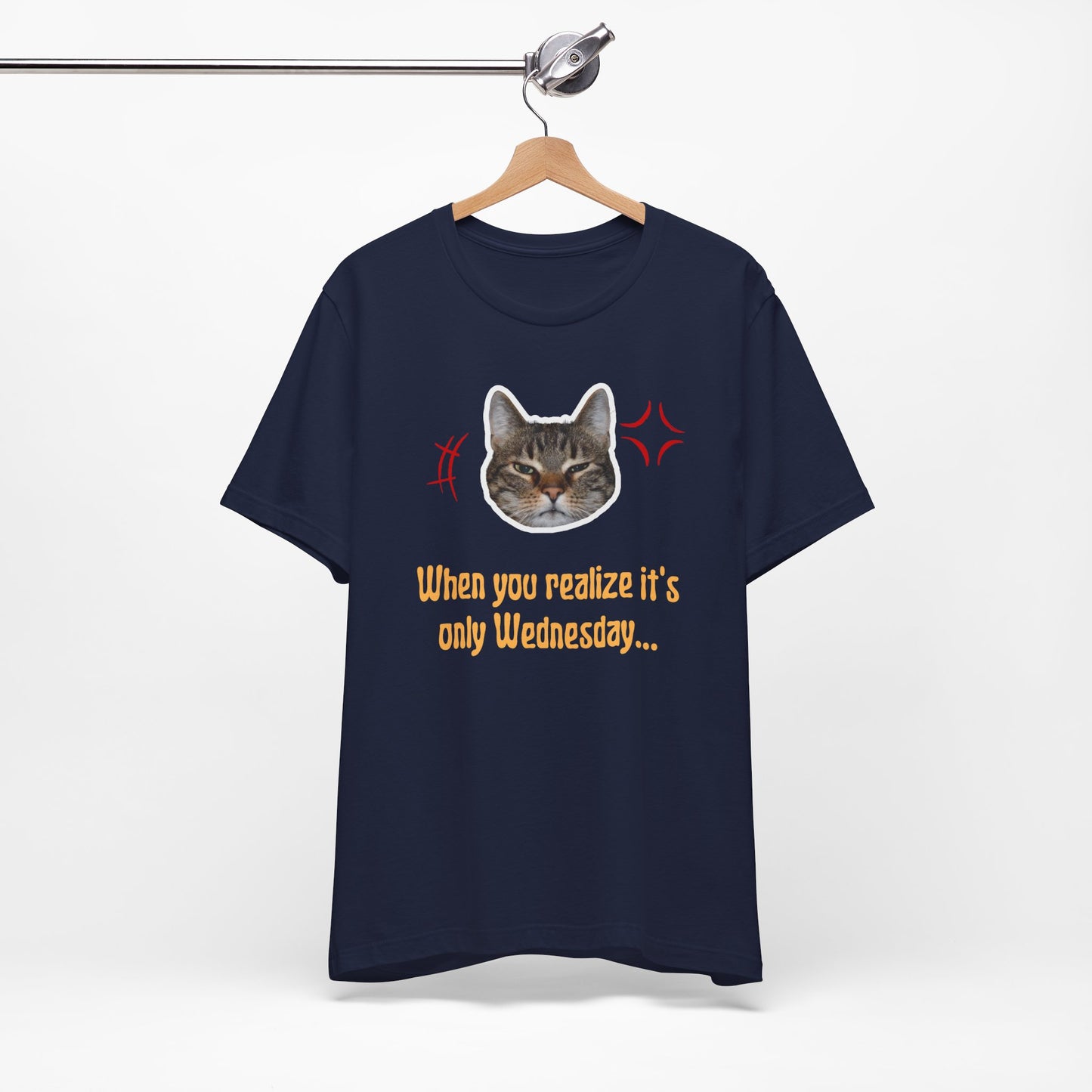 The Wednesday Grump Cat Premium Tee
