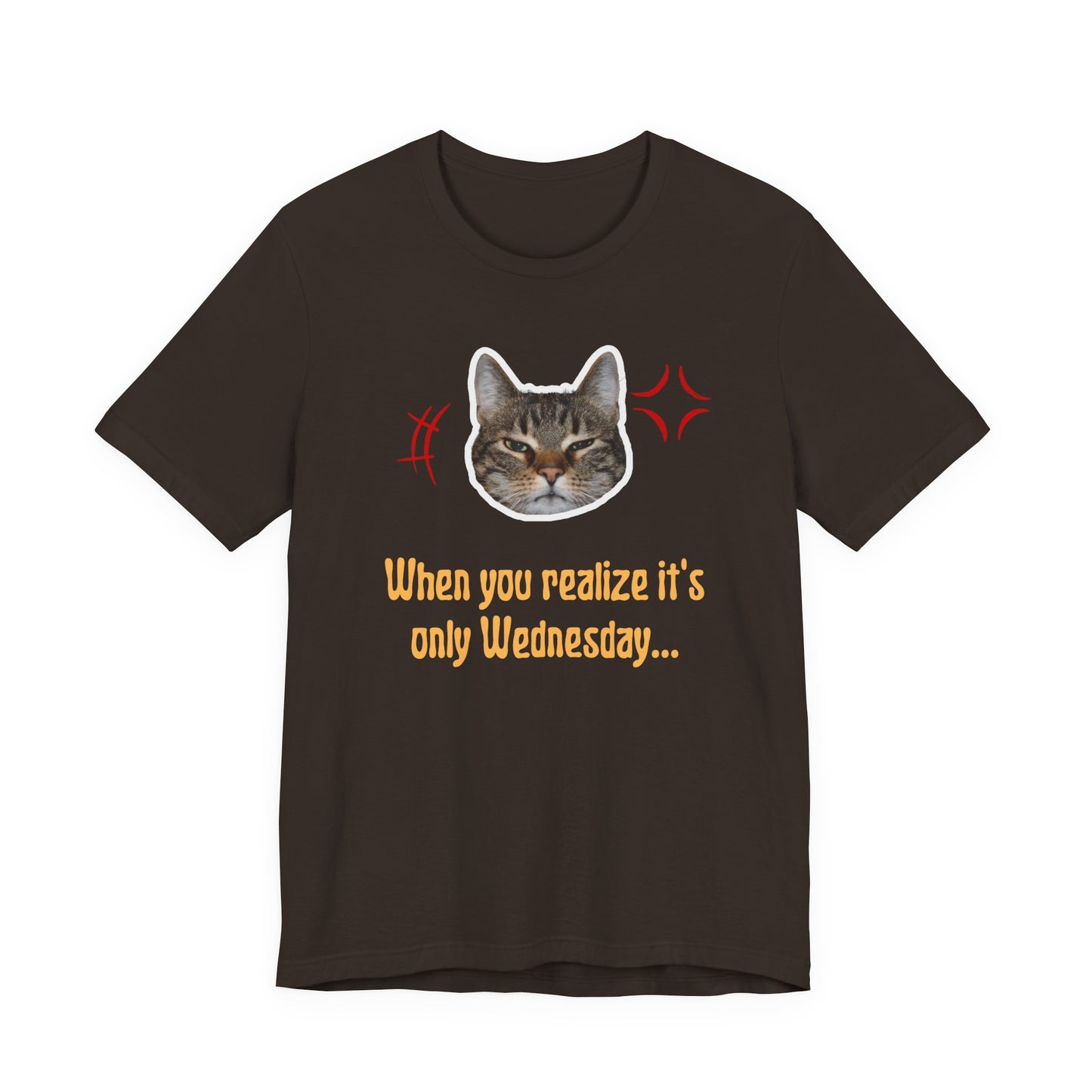 The Wednesday Grump Cat Premium Tee