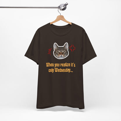 The Wednesday Grump Cat Premium Tee