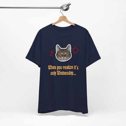 The Wednesday Grump Cat Premium Tee