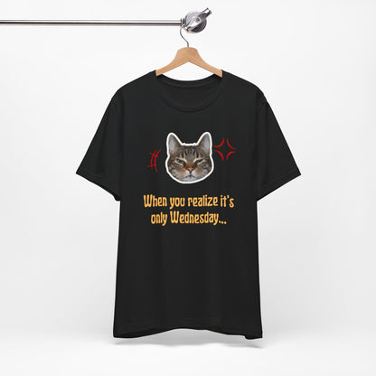 The Wednesday Grump Cat Premium Tee
