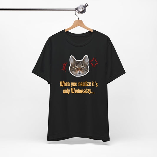 The Wednesday Grump Cat Premium Tee